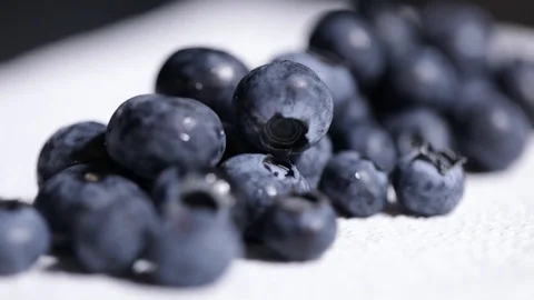 Blueberries in a Row on White Underground Camera Rotates Extreme Closeup Stock Footage 99137970