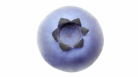 Blueberries single Stock-Footage 166696984