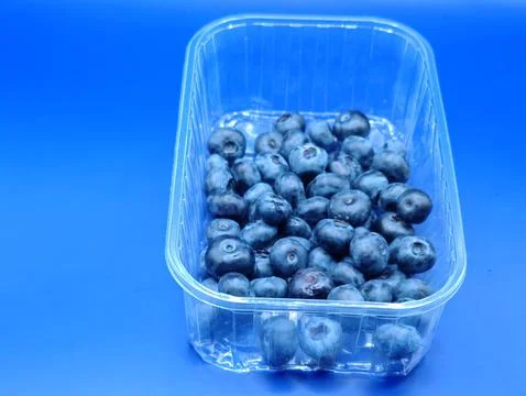 Blueberries in a small box Foto stock
