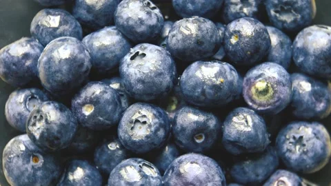 Blueberries spin 4K Stock Footage 196871675