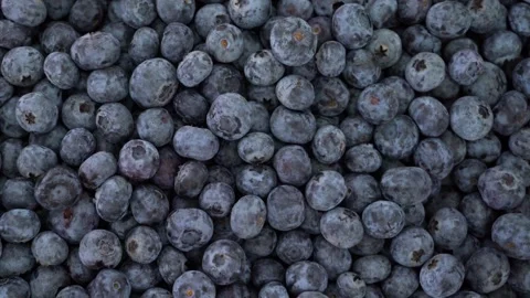 Blueberries on the store counter close-up Stock Footage 277630994