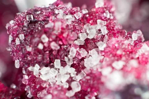 Blueberries in sugar Stock Photos