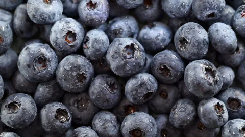 Blueberries in sunlight. Dynamic play of light and shadow on the berries. Vídeo Stock 314333050