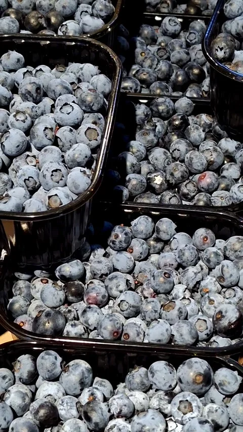 Blueberries in a supermarket Stock Footage 341424037