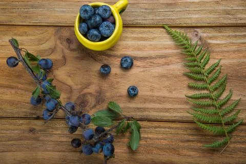 Blueberries on table Stock Photos
