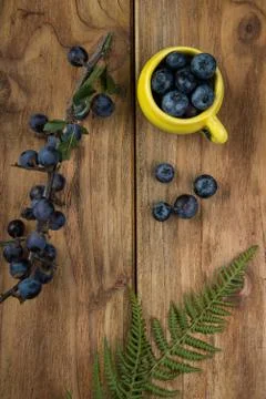 Blueberries on table Stock Photos
