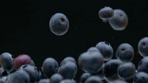 Blueberries tossed up on black background Stock Footage 131154915
