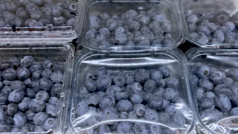 Blueberries in transparent plastic trays Stock Footage 297009573