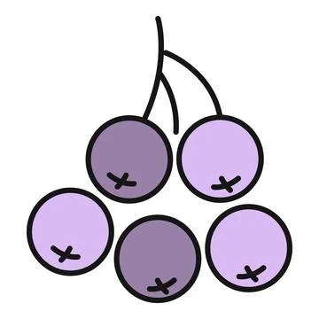 Blueberries vector illustration representing healthy organic food Stock Illustration