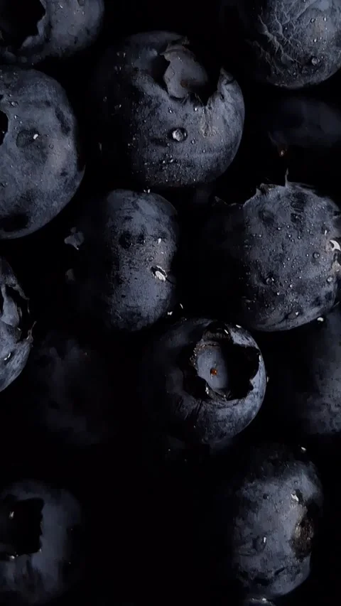 Blueberries with water droplets Stock Footage 341676551