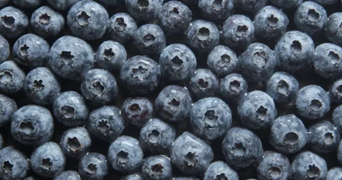 Blueberries with water drops close up studio shot over rotating Stock Footage 324837960