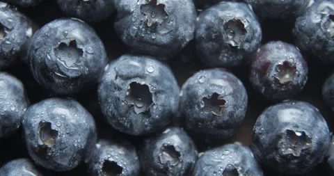 Blueberries with water drops close up studio shot over rotating Stock Footage 324837991