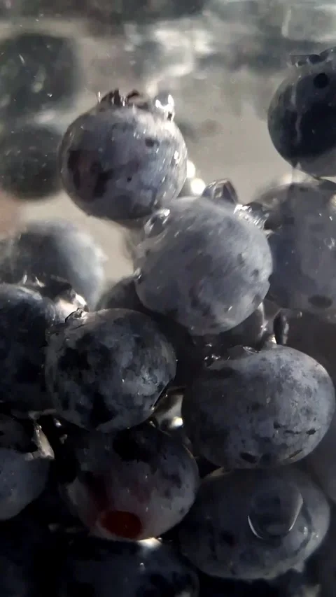 Blueberries in water Stock Footage 341676534