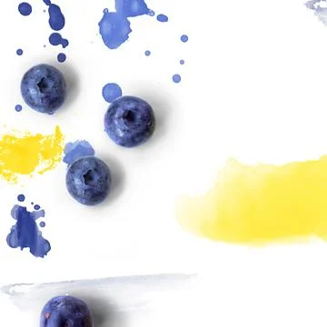 Blueberries on white background with watercolor splashes; creative layout w.. Stock Photos