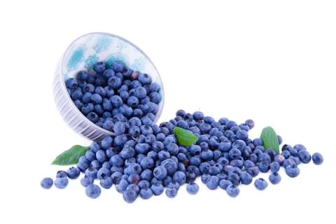 Blueberries on white Stock Photos