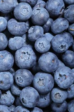 Blueberries1 Stock Photos