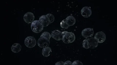 BlueberriesBubbles C0005 Stock Footage 105715674