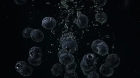 BlueberriesBubbles C0006 Stock Footage 105715647