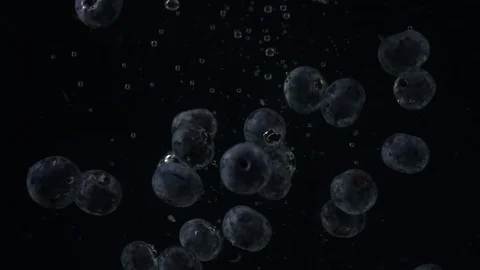 BlueberriesBubbles C0007 Stock Footage 105715644