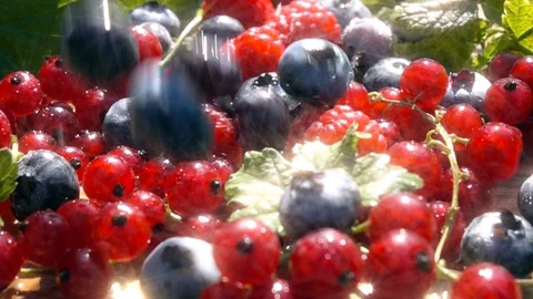 Blueberry and currant, slow motion Stock Footage