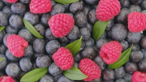 Blueberry and Raspberry with green leaf on rotating backdrop. Stock Footage 200025937