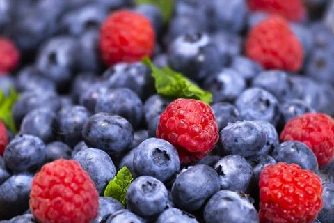 Blueberry and Raspberry with mint background. Top view. Close up view Stock Photos