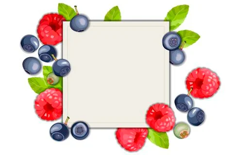 Blueberry and raspberry on a white background, leaves and berries frame Stock Illustration