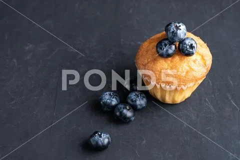 Blueberry antioxidant organic superfood and sweet muffin Concept for healthy Stock Photos
