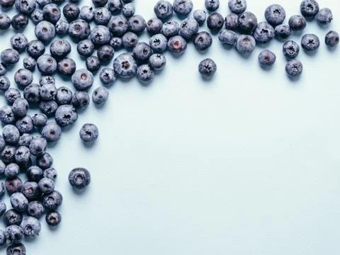 Blueberry background copy space Stockfoto's