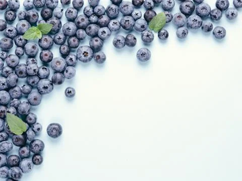 Blueberry background copy space Stock-Fotos