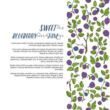Blueberry background for the label or card Stock Illustration