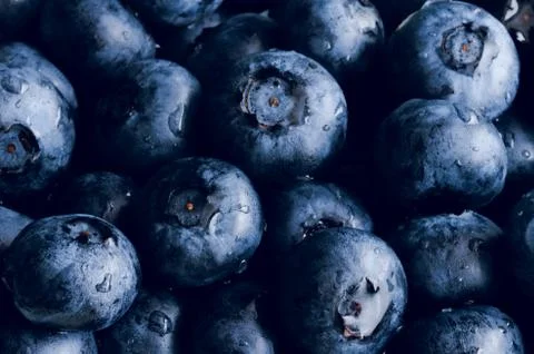 Blueberry background. Macro concept. Stock Photos