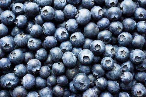 Blueberry Background Stock Photos