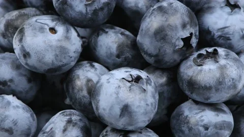 Blueberry background. Side view. Loop motion. Rotation 360. Stock Footage 168578155