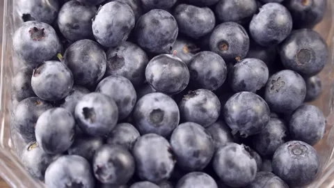 Blueberry berries close up Stock Footage 136321544