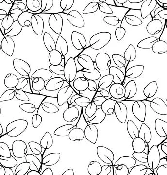 Blueberry black white seamless pattern. Hand made vector illustration Stock Illustration