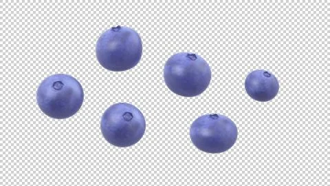 Blueberry blueberries Stock Illustration
