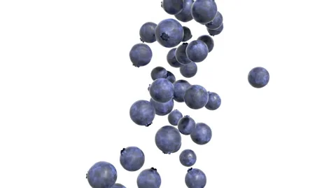 Blueberry Cascade - White Background. Vídeo Stock 43661379