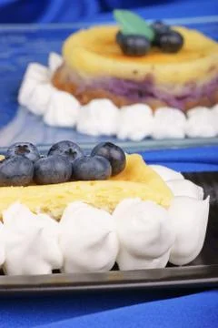 Blueberry cheese cake Stock Photos