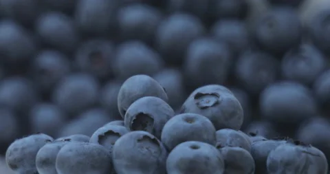 Blueberry Close Up with Soft Rotating Fruit Layers Vidéo 135629988