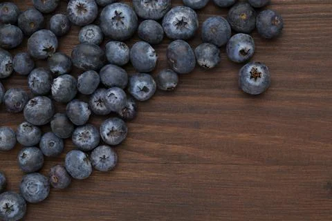 Blueberry closeup Stock Photos