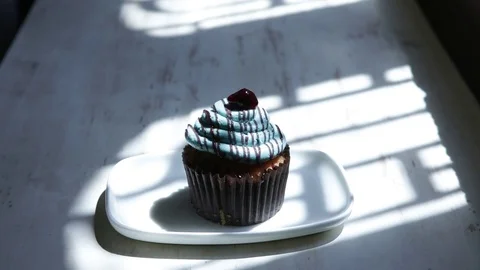 Blueberry Cupcake Video stock 73978207