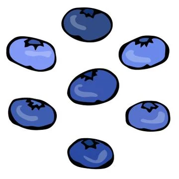 Blueberry. Doodle Style Vector Design, Isolated on White Background. Stock Illustration
