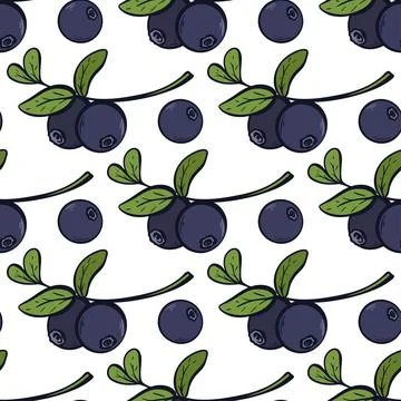 Blueberry engraved vintage seamless pattern 库存插图