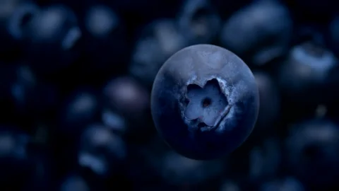 Blueberry falling and rolling in slow motion Top view Stock Footage 130698039