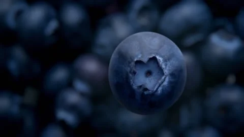 Blueberry falling and rolling in slow motion Top view Stock Footage 131150772