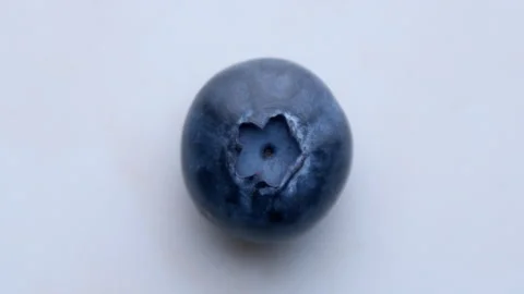 Blueberry falling and rolling in slow motion Top view Stock Footage 131154371
