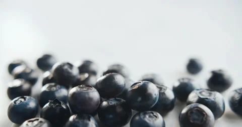 Blueberry falls on white background in slow motion at 4k Stock Footage 101028173
