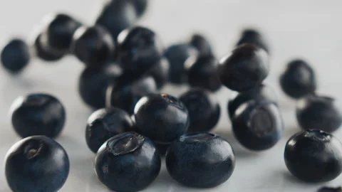 Blueberry falls on white background in slow motion Stock Footage 101478639