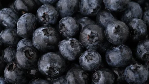Blueberry Stock Footage 253489346